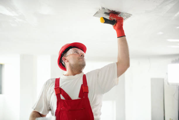 Best Drywall Texturing  in Woodhaven, MI