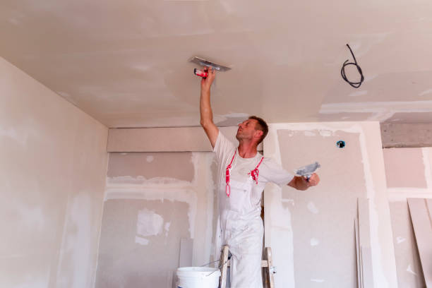 Best Stucco Painting  in Woodhaven, MI